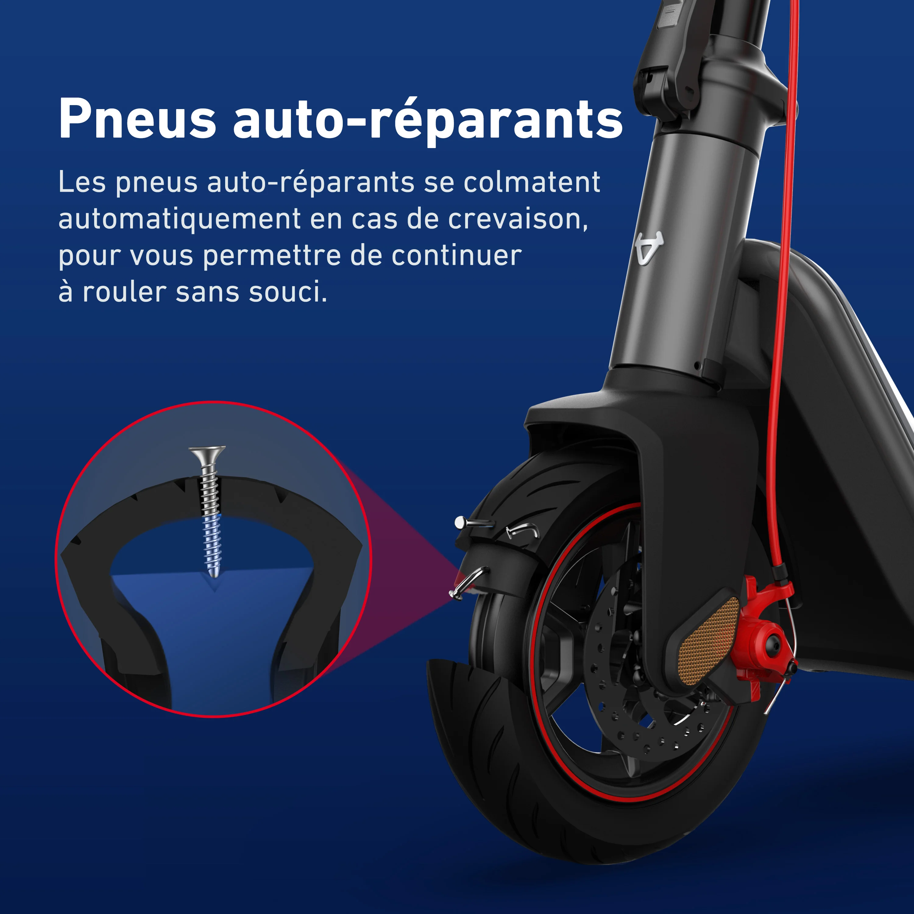 NIU KQi3 Max Trottinette électrique | Autonomie 65km - Image 6